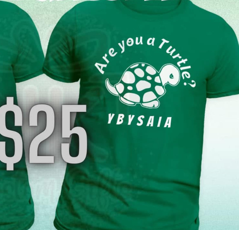 Are You a Turtle?” Tee