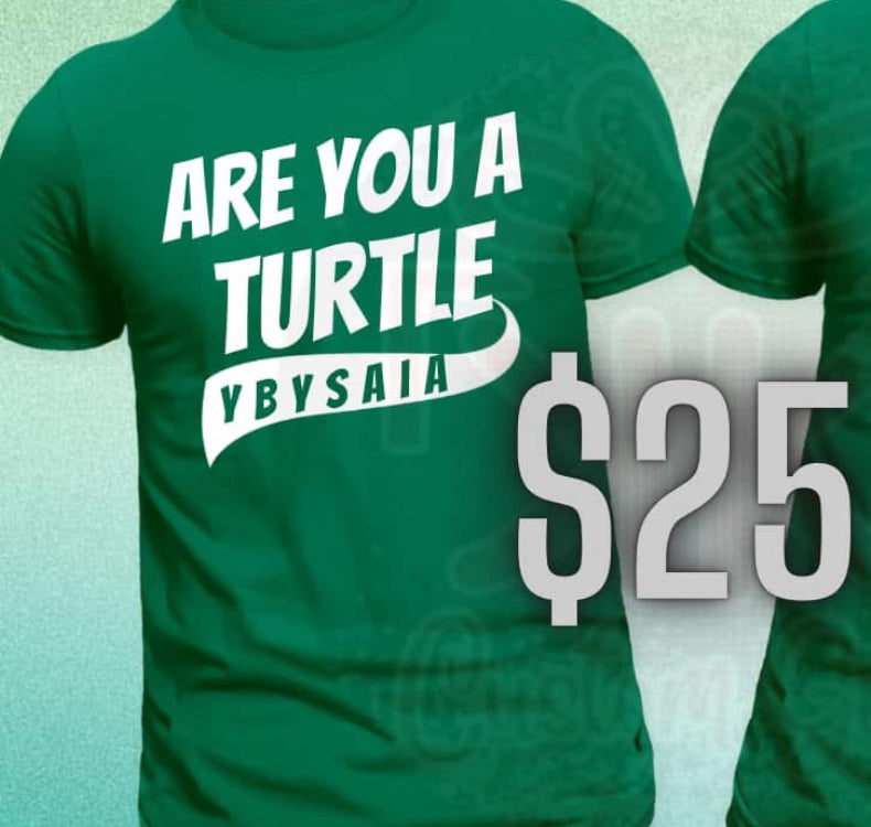 Are You a Turtle?” Tee